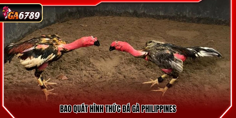Đá Gà Philippines - Kinh Nghiệm Xem Và Bắt Kèo Tại Ga6789 2 Giới thiệu bao quát về hình thức đá gà Philippines